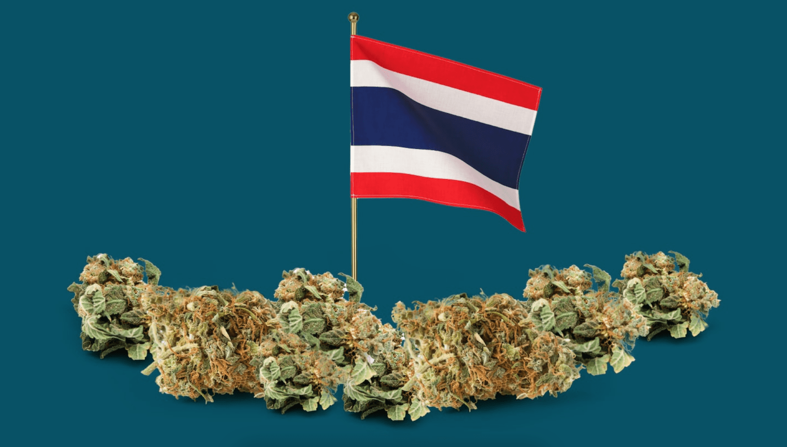 thailand legalized