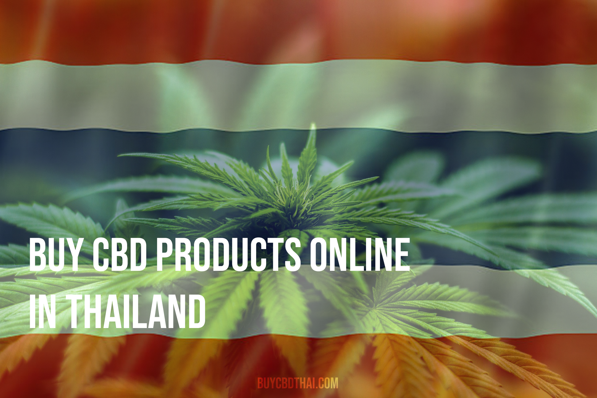 Buy CBD products in Thailand Online